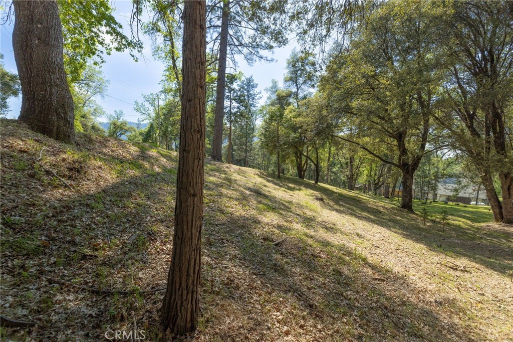 1 Oak Ln, Oakhurst, CA 93644