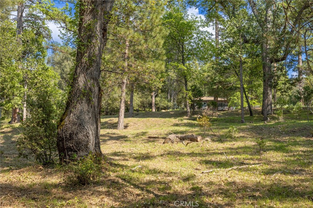 1 Oak Ln, Oakhurst, CA 93644