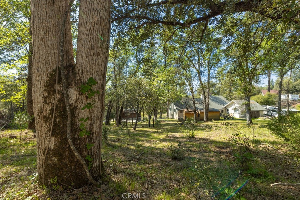 1 Oak Ln, Oakhurst, CA 93644