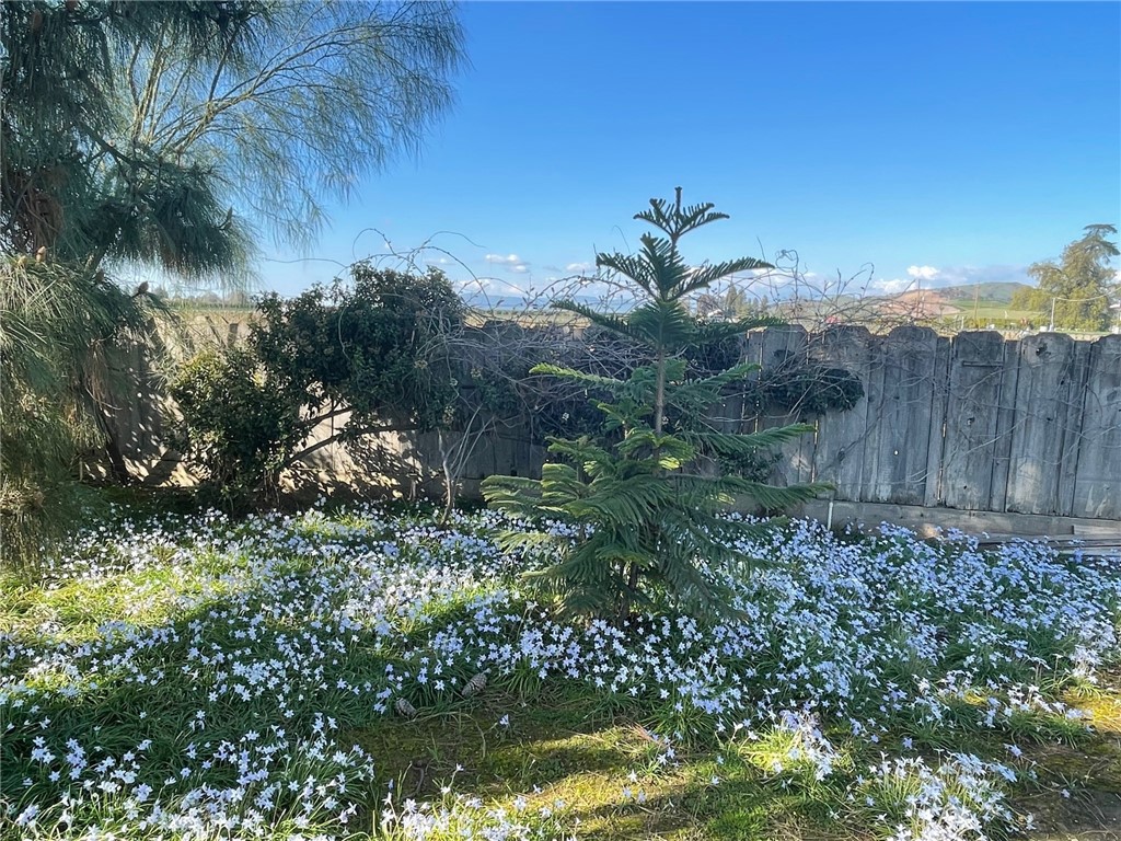 41493 Road 96, Dinuba, CA 93618