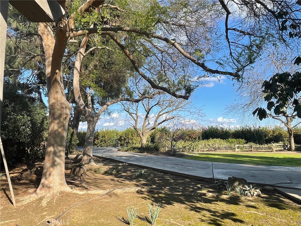 41493 Road 96, Dinuba, CA 93618