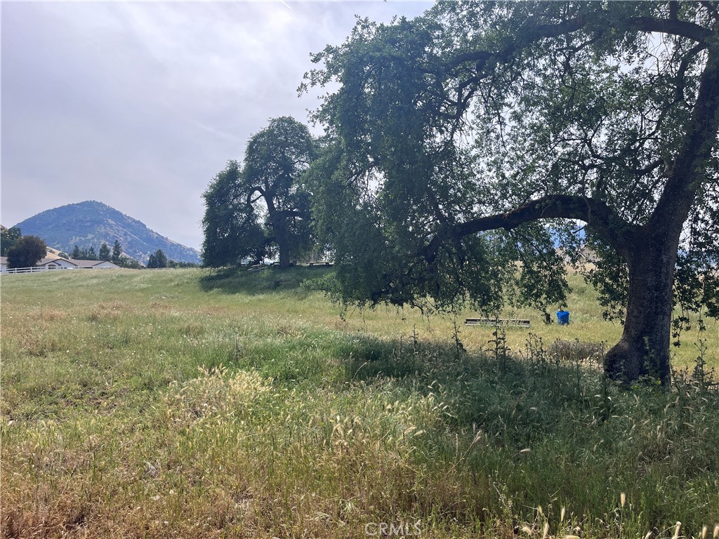 0 Lupine Dr, Sanger, CA 93657