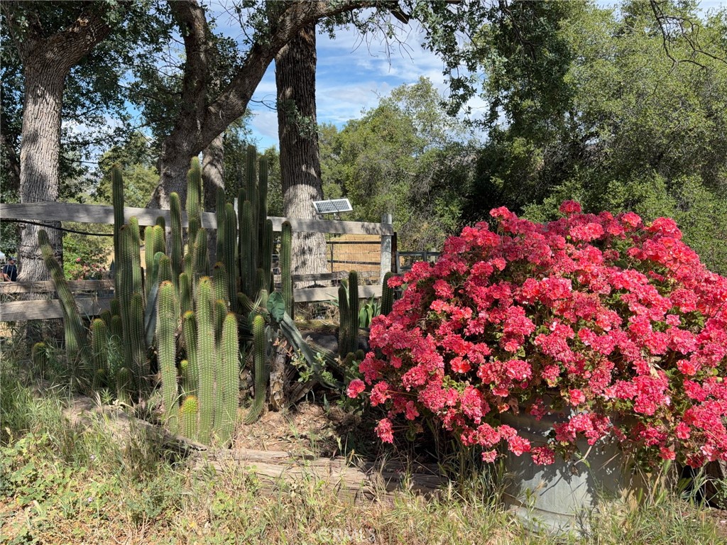 39569 Clover, Squaw Valley, CA 93675