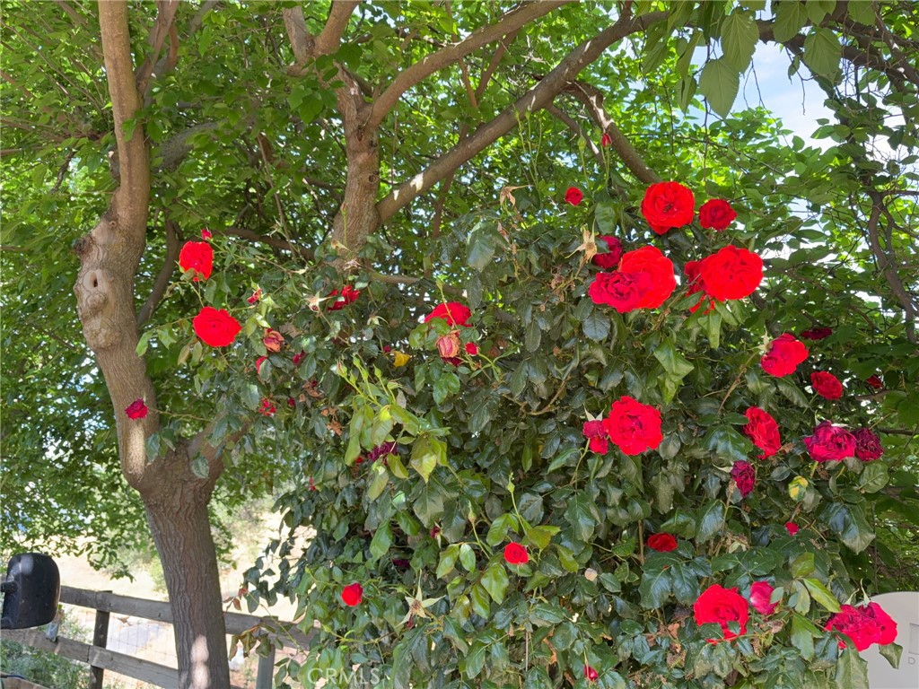 39569 Clover, Squaw Valley, CA 93675