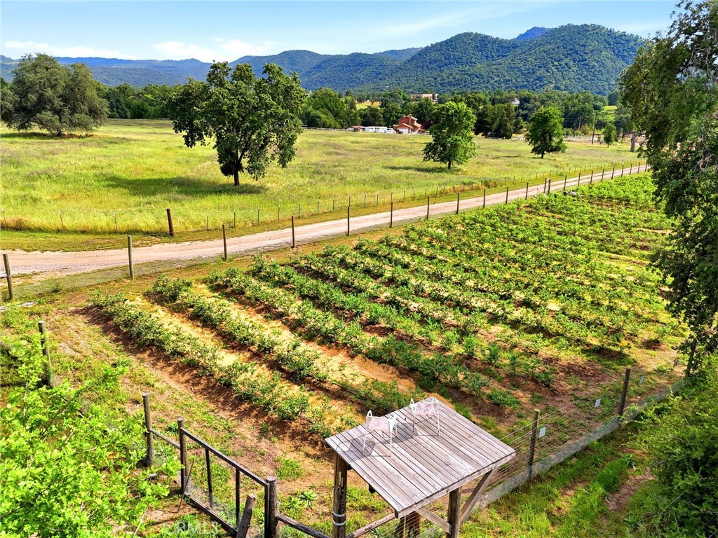 39348 Dunlap, Squaw Valley, CA 93675