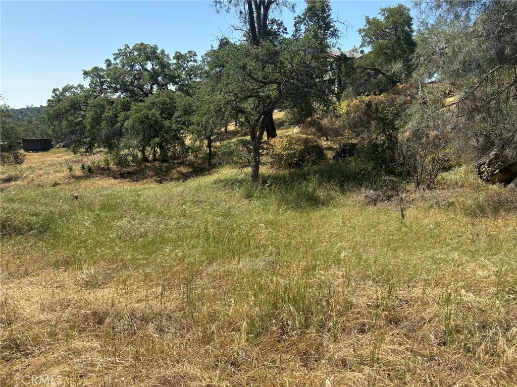 0 Lilley Mountain, Coarsegold, CA 93614