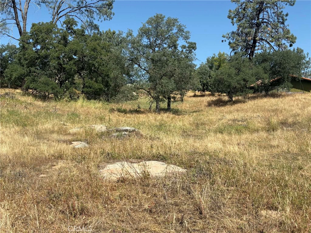 0 Lilley Mountain, Coarsegold, CA 93614
