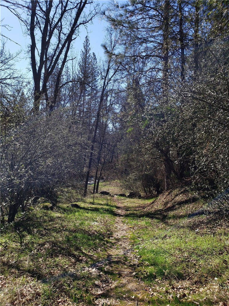 0 Road 225, North Fork, CA 93643