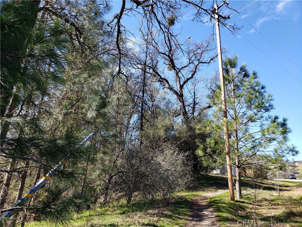 0 Road 225, North Fork, CA 93643