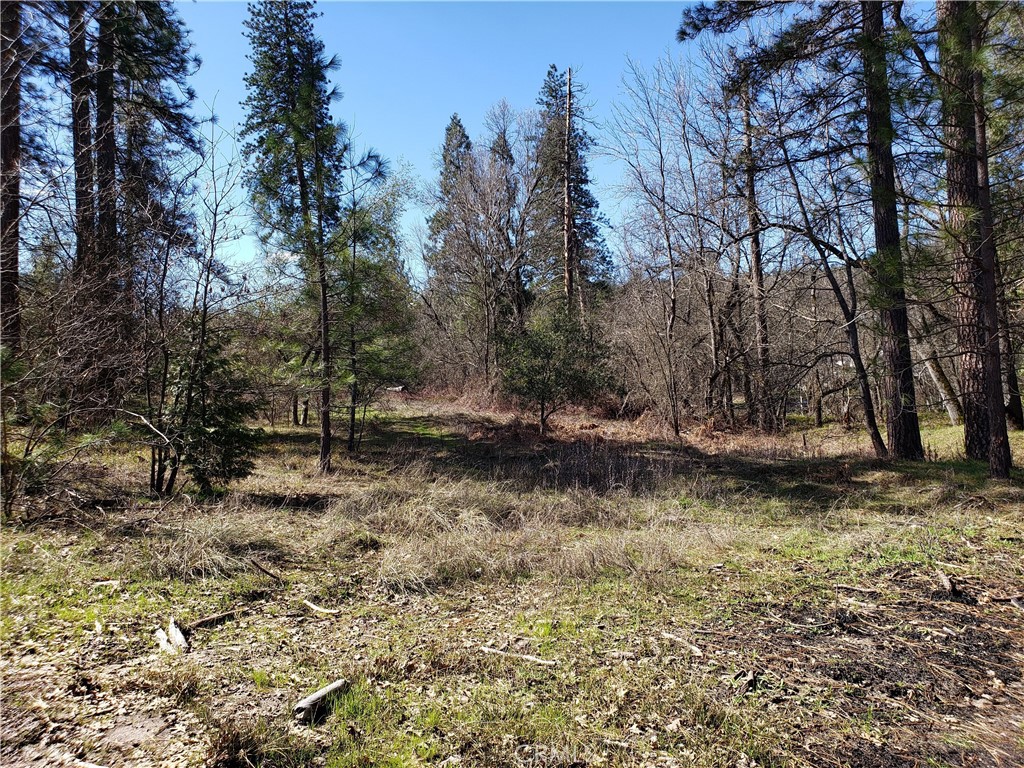 0 Road 225, North Fork, CA 93643