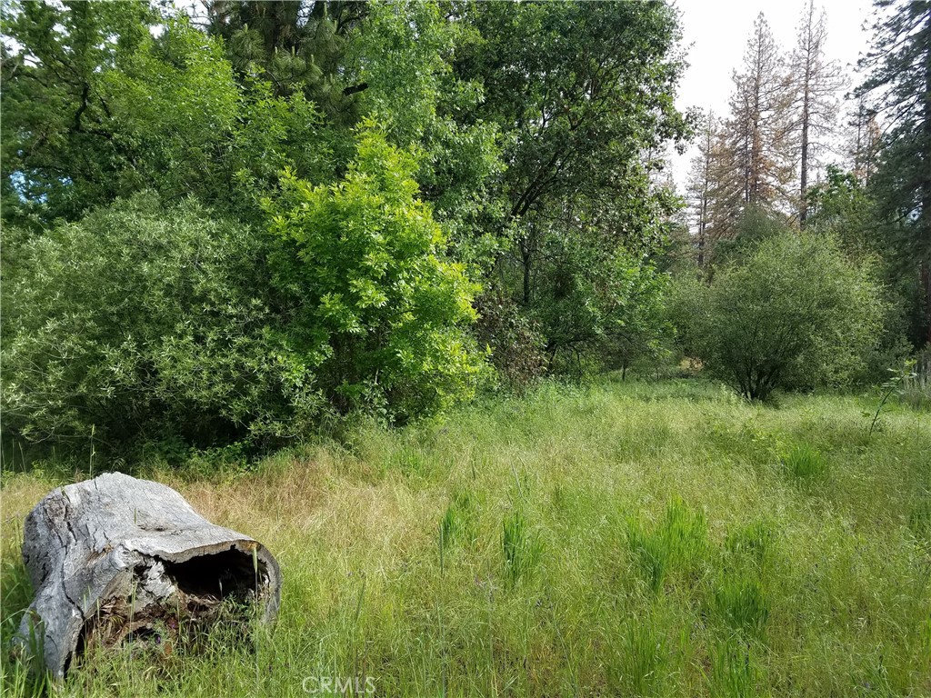 0 Road 225, North Fork, CA 93643