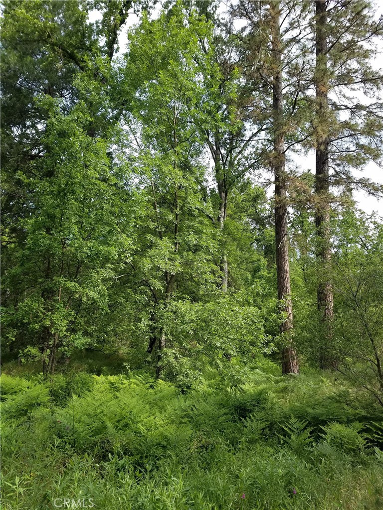 0 Road 225, North Fork, CA 93643