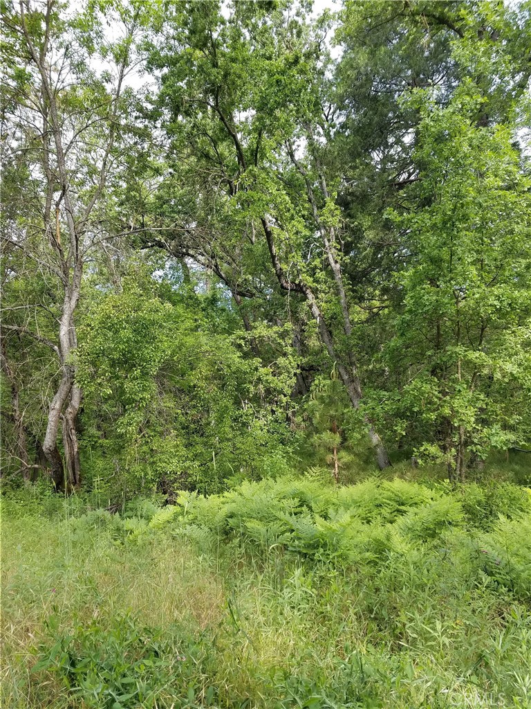 0 Road 225, North Fork, CA 93643