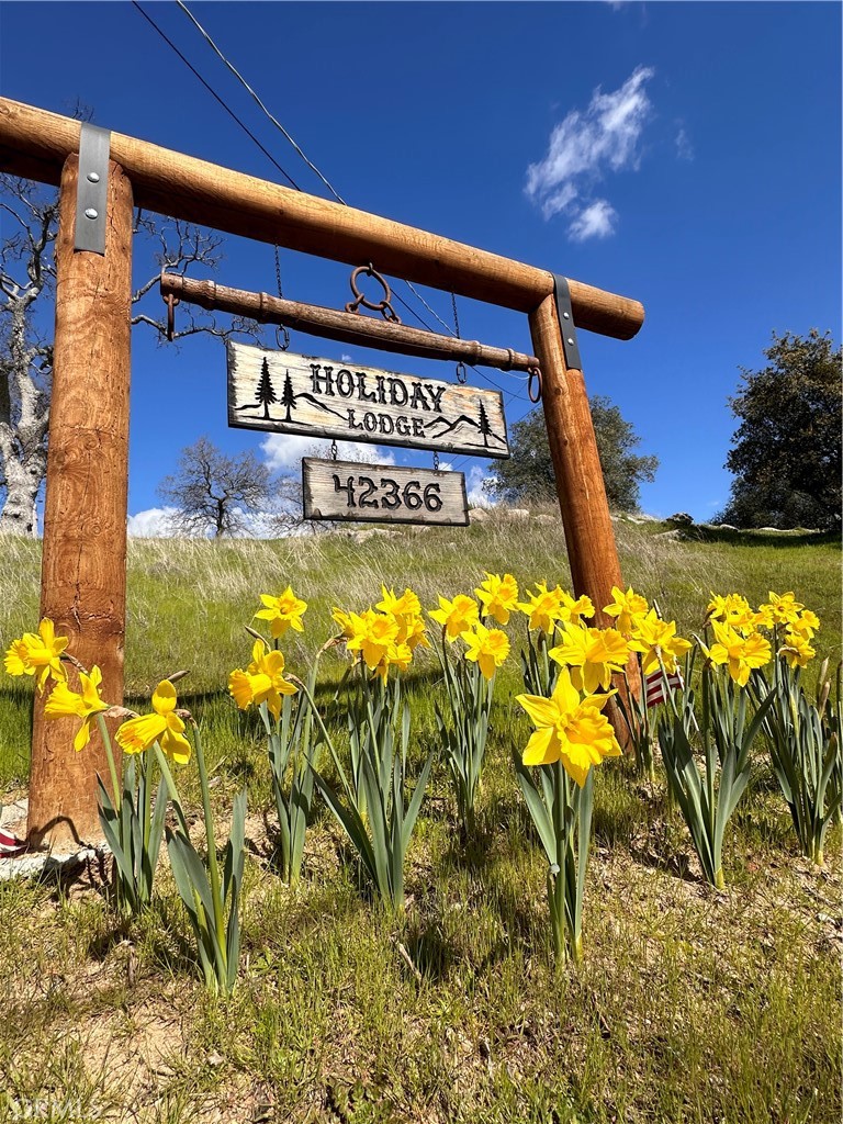 42366 Holiday Way, Coarsegold, CA 93614