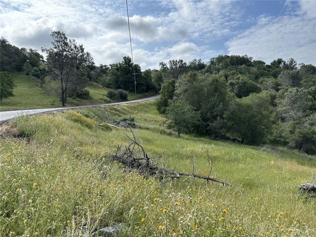 0 Lot 186 North Dome Dr, Coarsegold, CA 93614