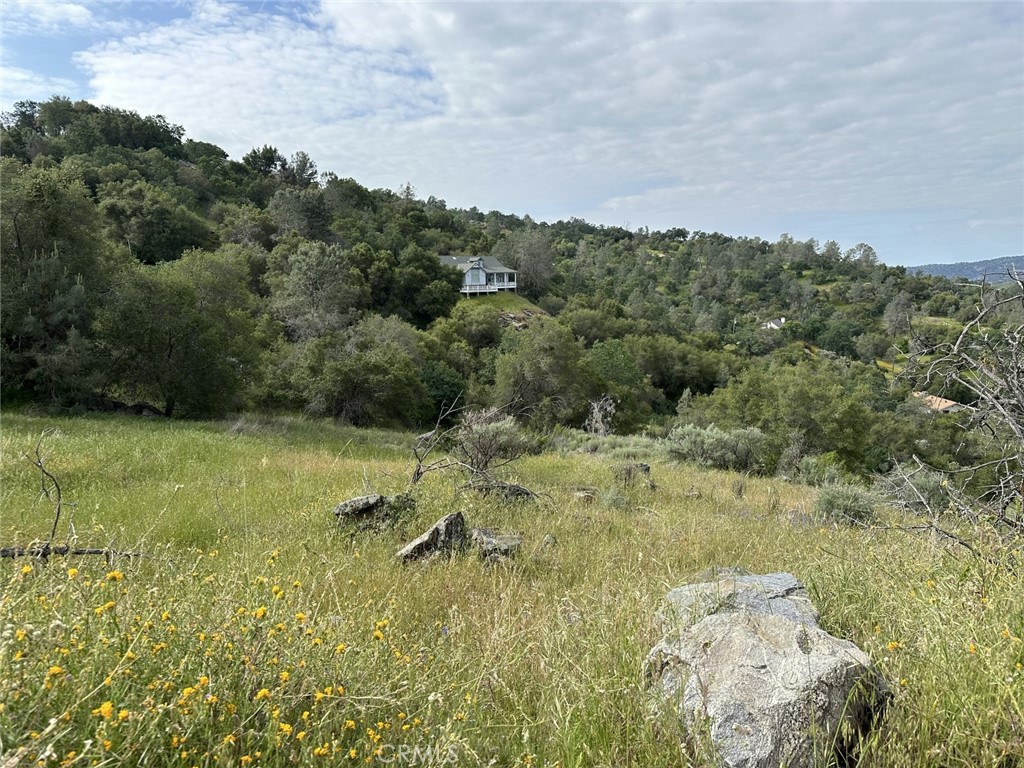 0 Lot 186 North Dome Dr, Coarsegold, CA 93614