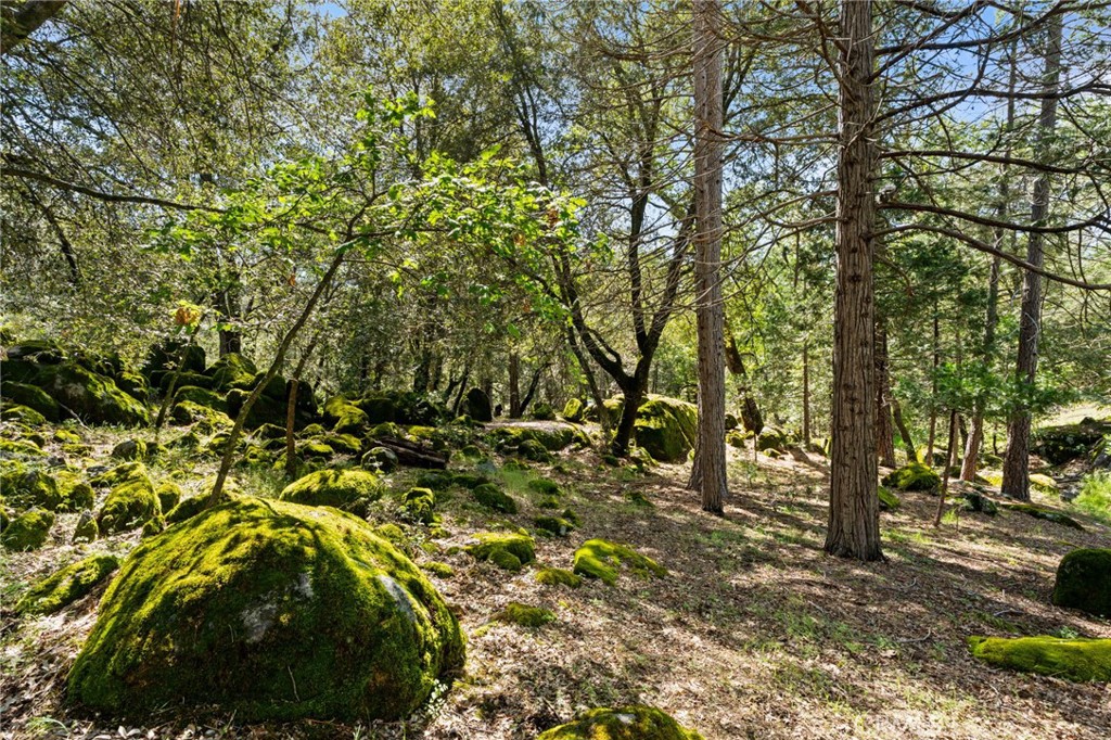 36556 Mudge Ranch Rd, Coarsegold, CA 93614