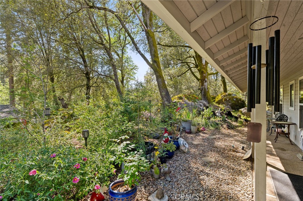 36556 Mudge Ranch Rd, Coarsegold, CA 93614