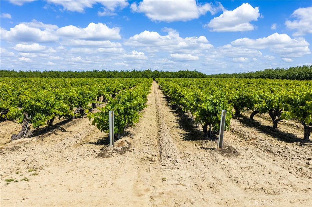 2854 N Monroe, Fresno, CA 93723