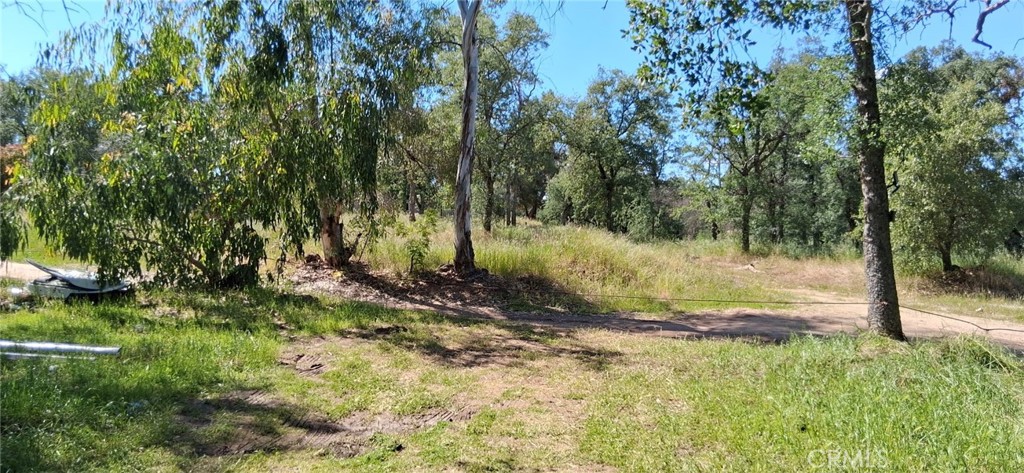 35778 Wells Rd, Coarsegold, CA 93614