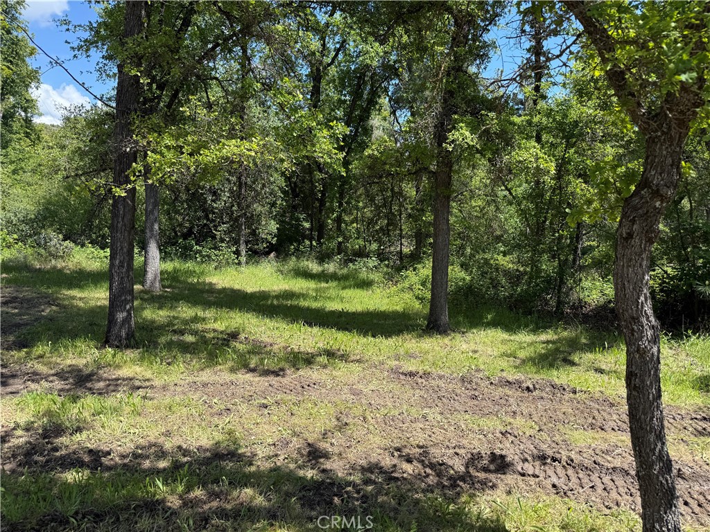 2 Road 601, Ahwahnee, CA 93601