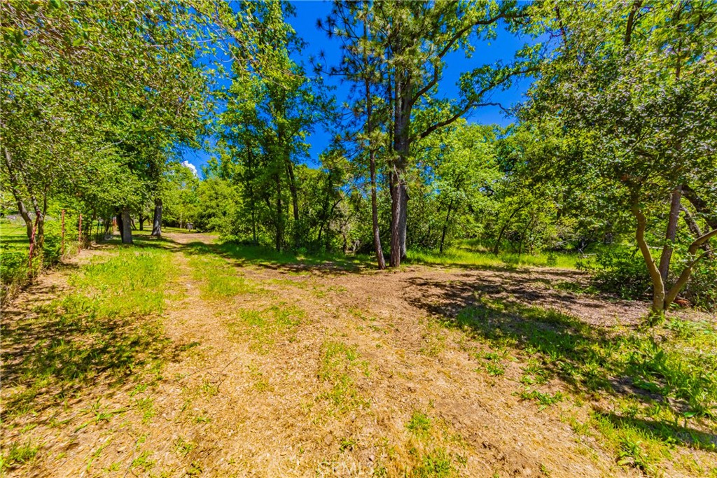 2 Road 601, Ahwahnee, CA 93601