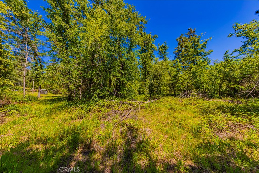 2 Road 601, Ahwahnee, CA 93601