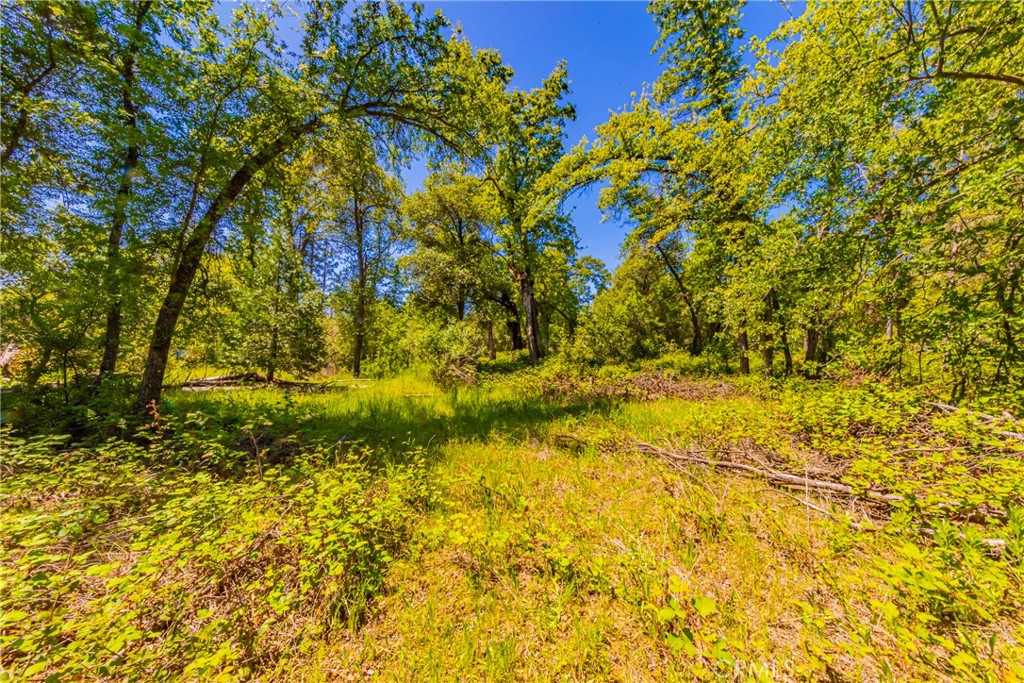 2 Road 601, Ahwahnee, CA 93601