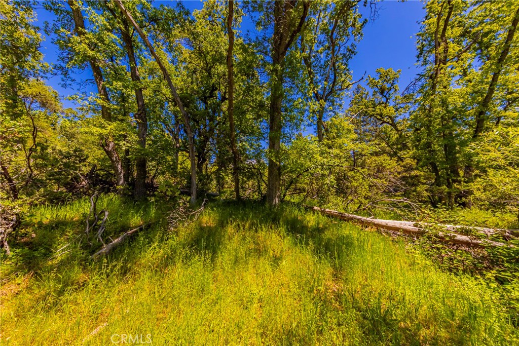 2 Road 601, Ahwahnee, CA 93601