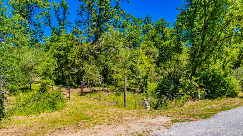 2 Road 601, Ahwahnee, CA 93601