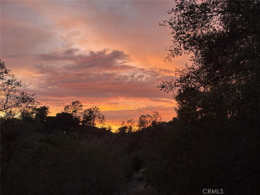 42011 Long Hollow, Coarsegold, CA 93614