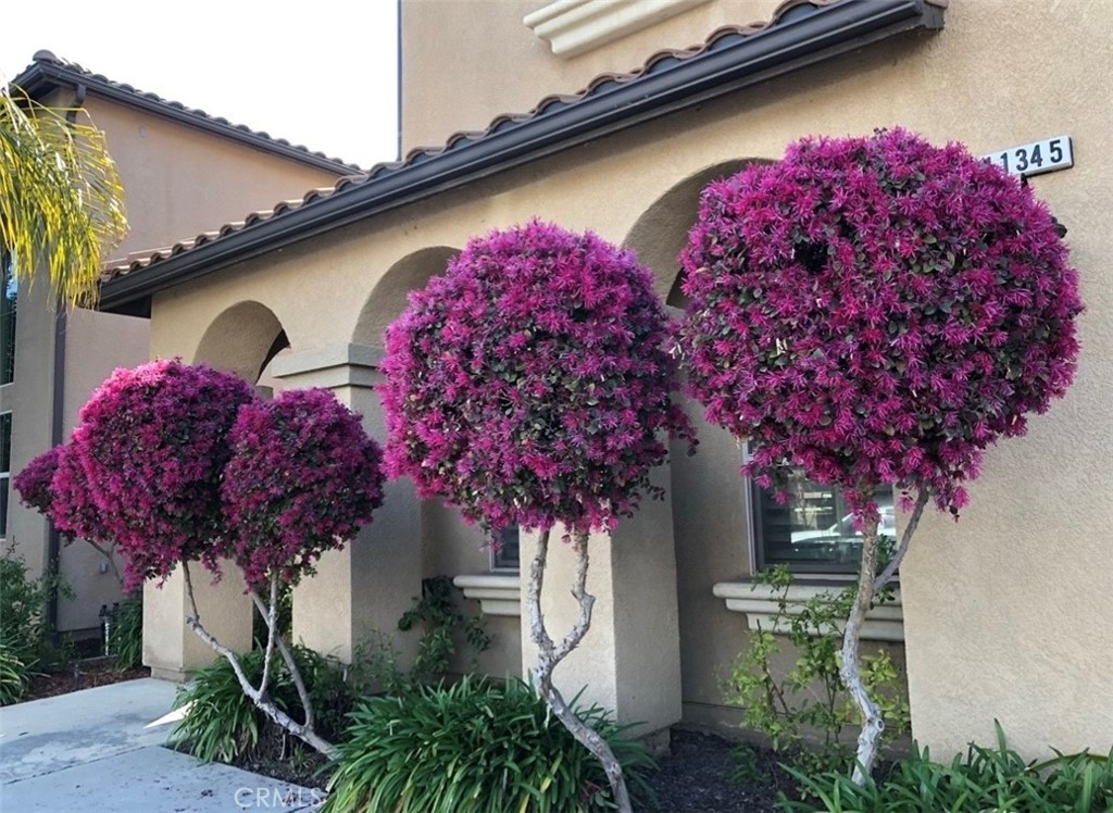 11345 N Via Montessori Dr, Fresno, CA 93730