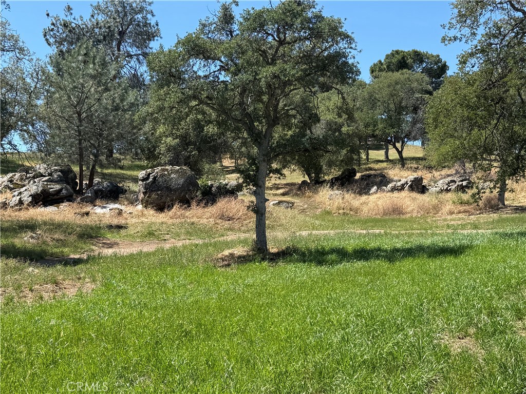 958 N Kings Canyon Ct, Coarsegold, CA 93614