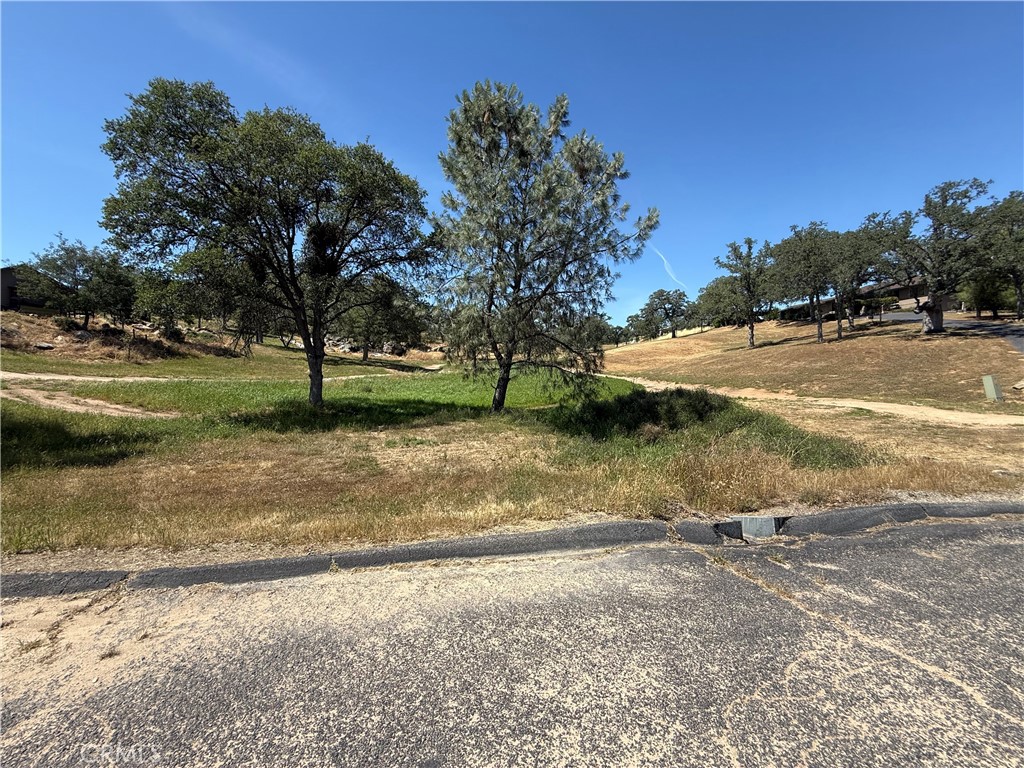 958 N Kings Canyon Ct, Coarsegold, CA 93614
