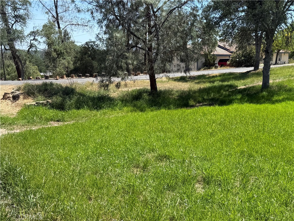 958 N Kings Canyon Ct, Coarsegold, CA 93614