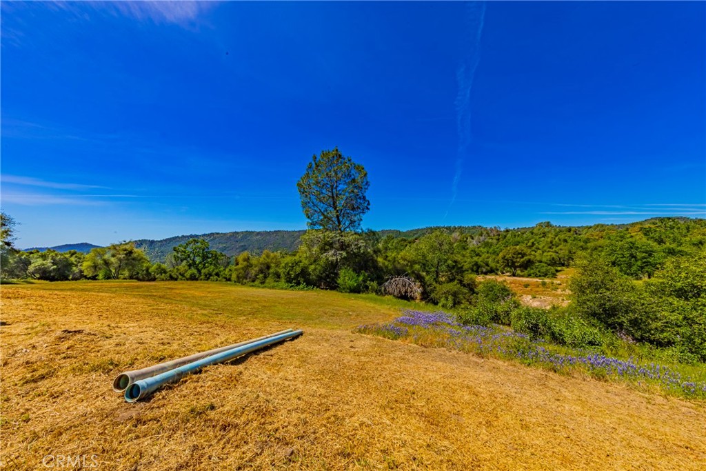 43980 Highway 49, Ahwahnee, CA 93601