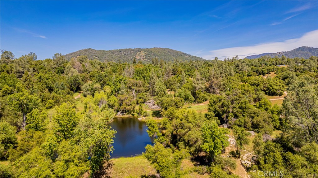 43980 Highway 49, Ahwahnee, CA 93601