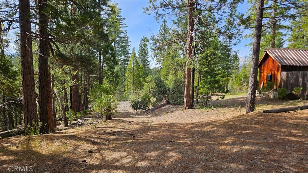 46336 Silvertip, North Fork, CA 93643