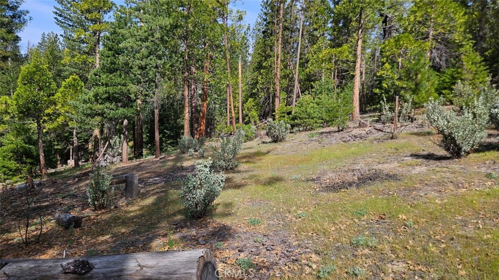46336 Silvertip, North Fork, CA 93643