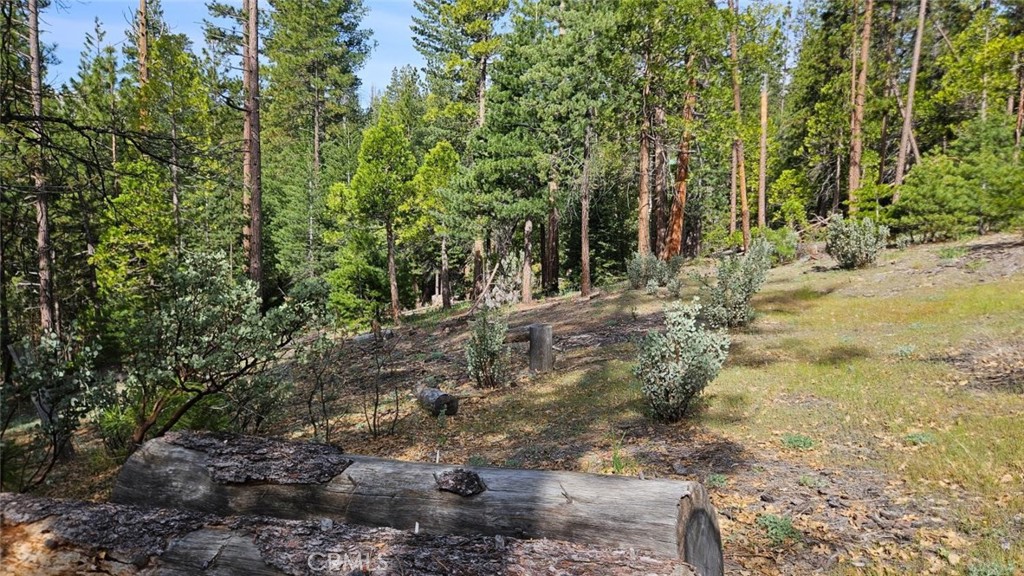 46336 Silvertip, North Fork, CA 93643