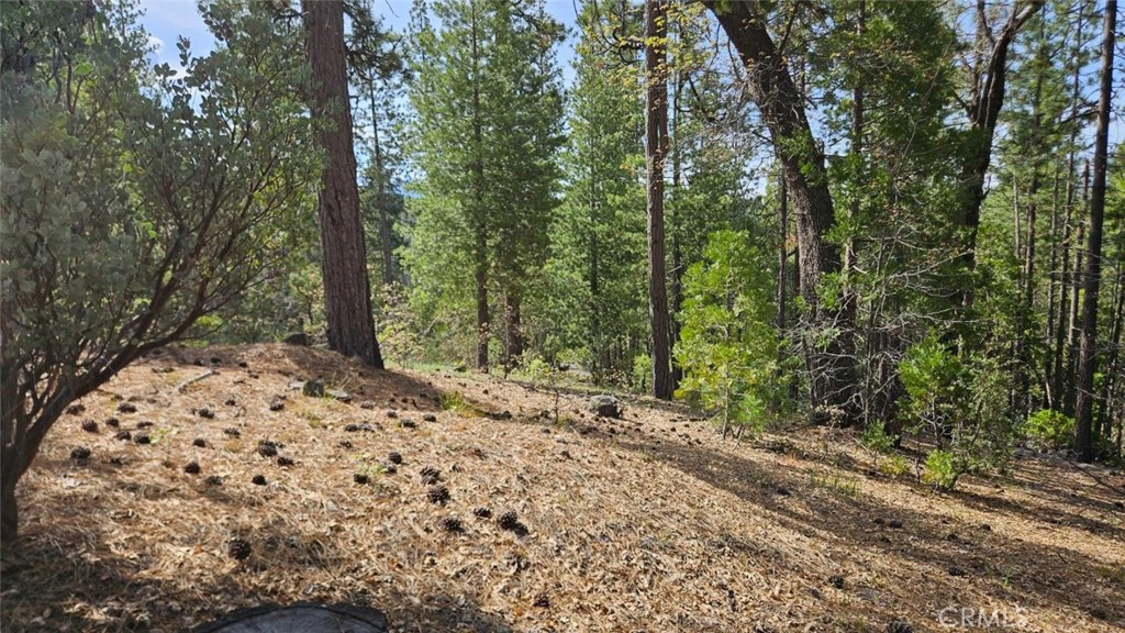 46336 Silvertip, North Fork, CA 93643
