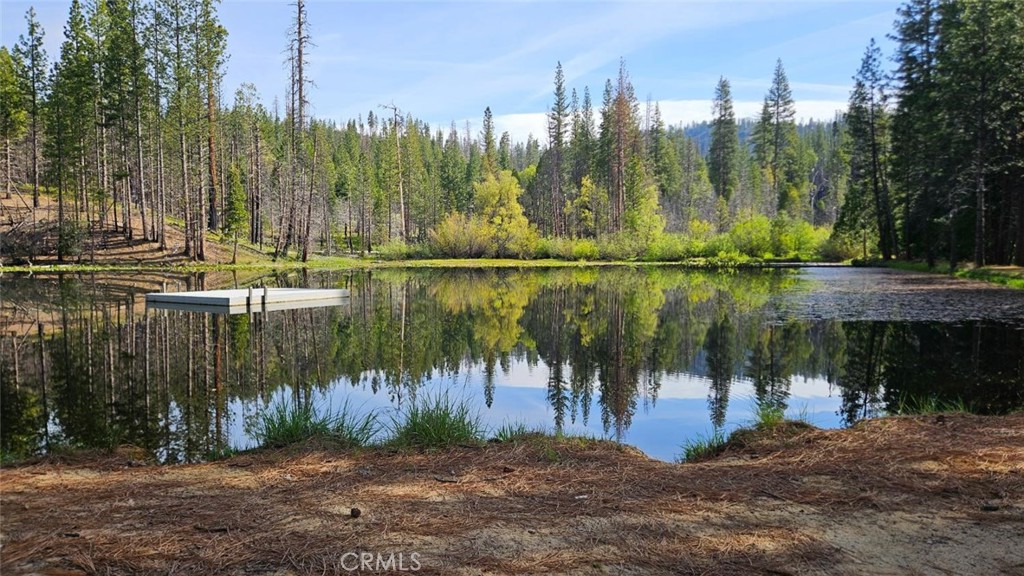 46336 Silvertip, North Fork, CA 93643