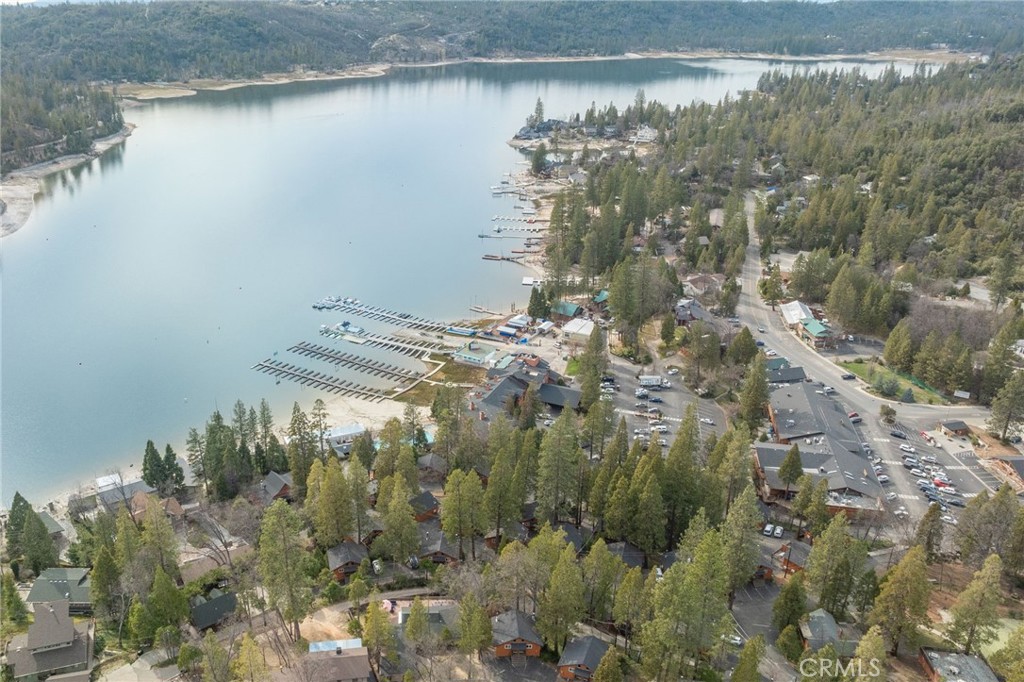 39173 Ski Slope, Bass Lake, CA 93604