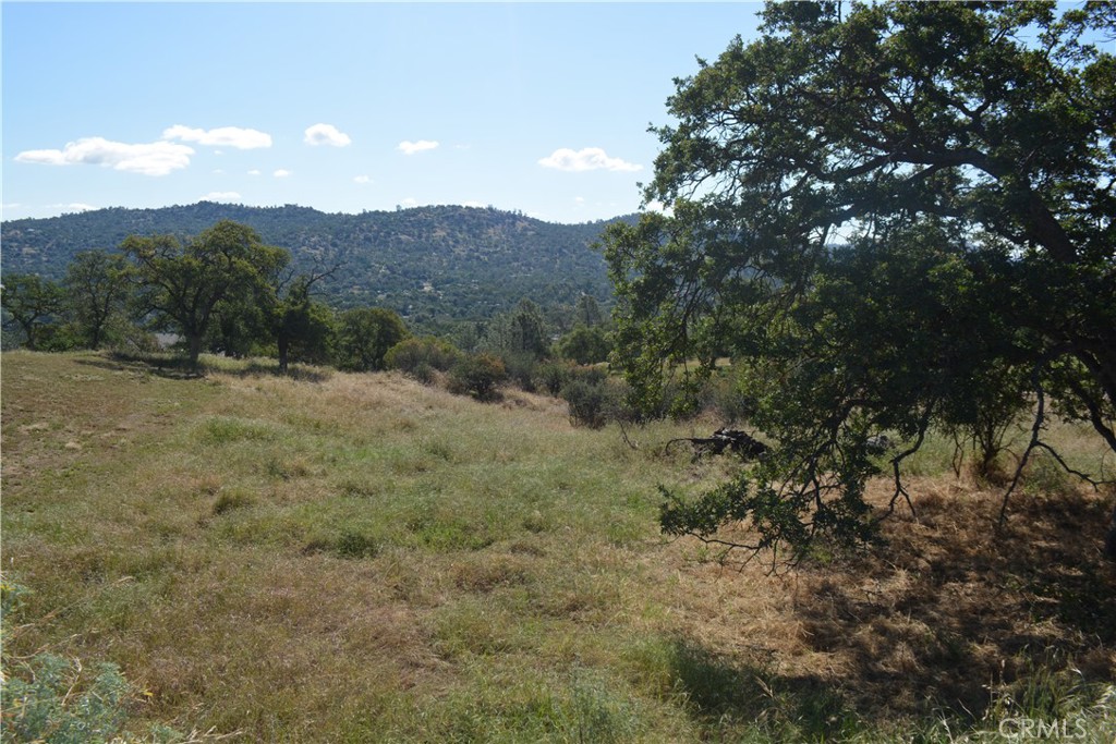 1 Corral Dr, Coarsegold, CA 93614
