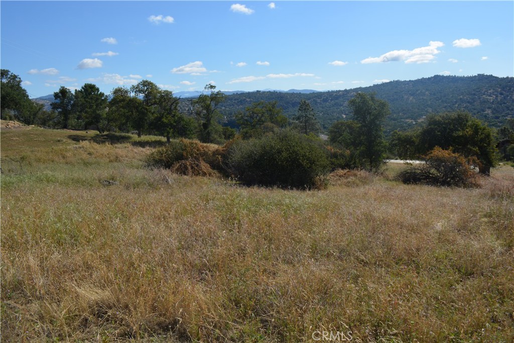 1 Corral Dr, Coarsegold, CA 93614