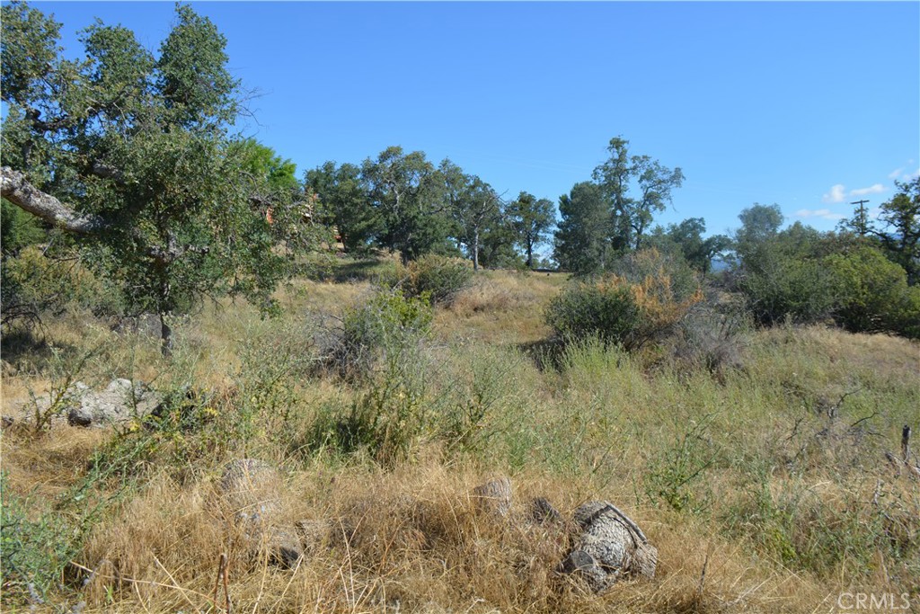 1 Corral Dr, Coarsegold, CA 93614