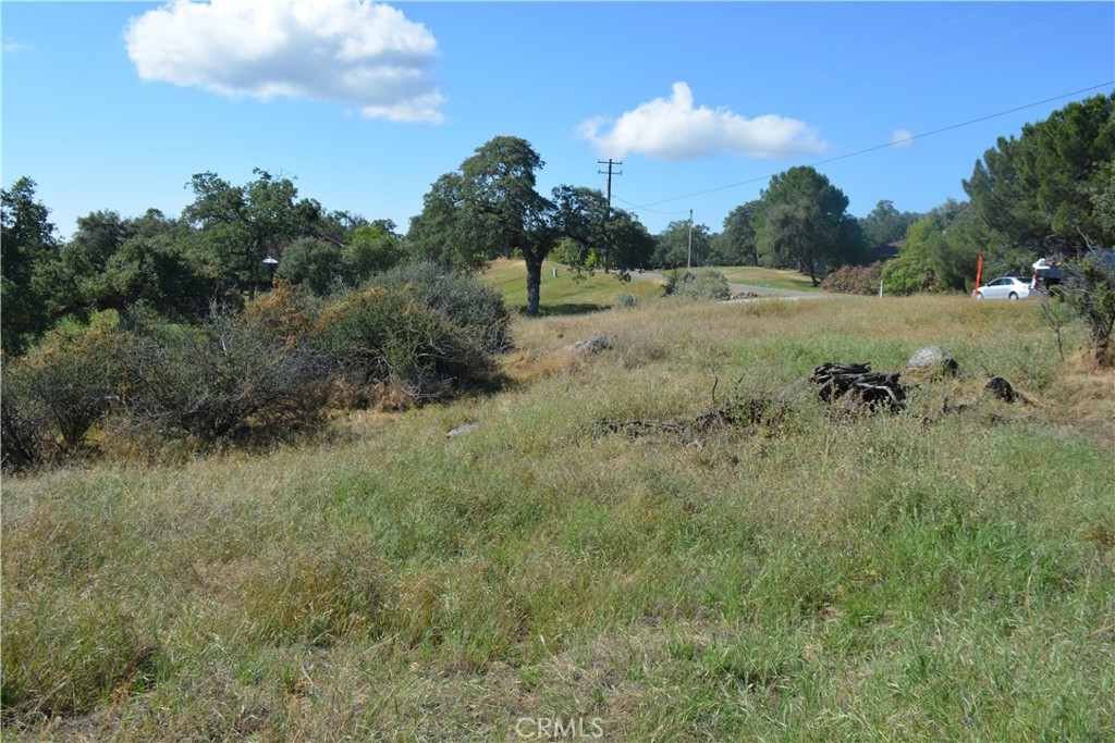 1 Corral Dr, Coarsegold, CA 93614
