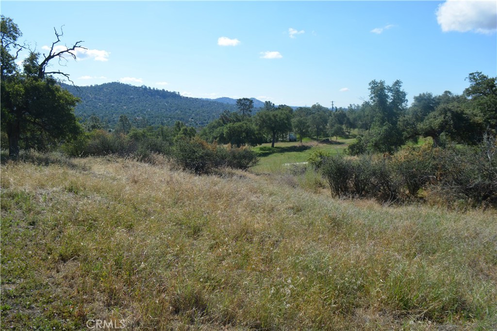 1 Corral Dr, Coarsegold, CA 93614