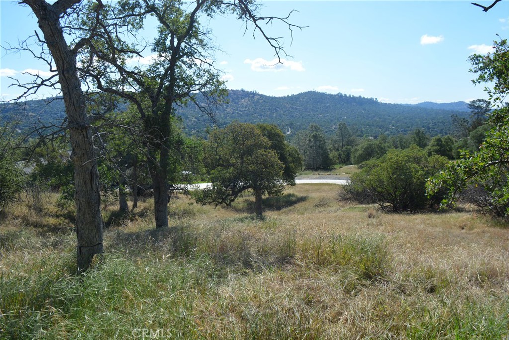 1 Corral Dr, Coarsegold, CA 93614