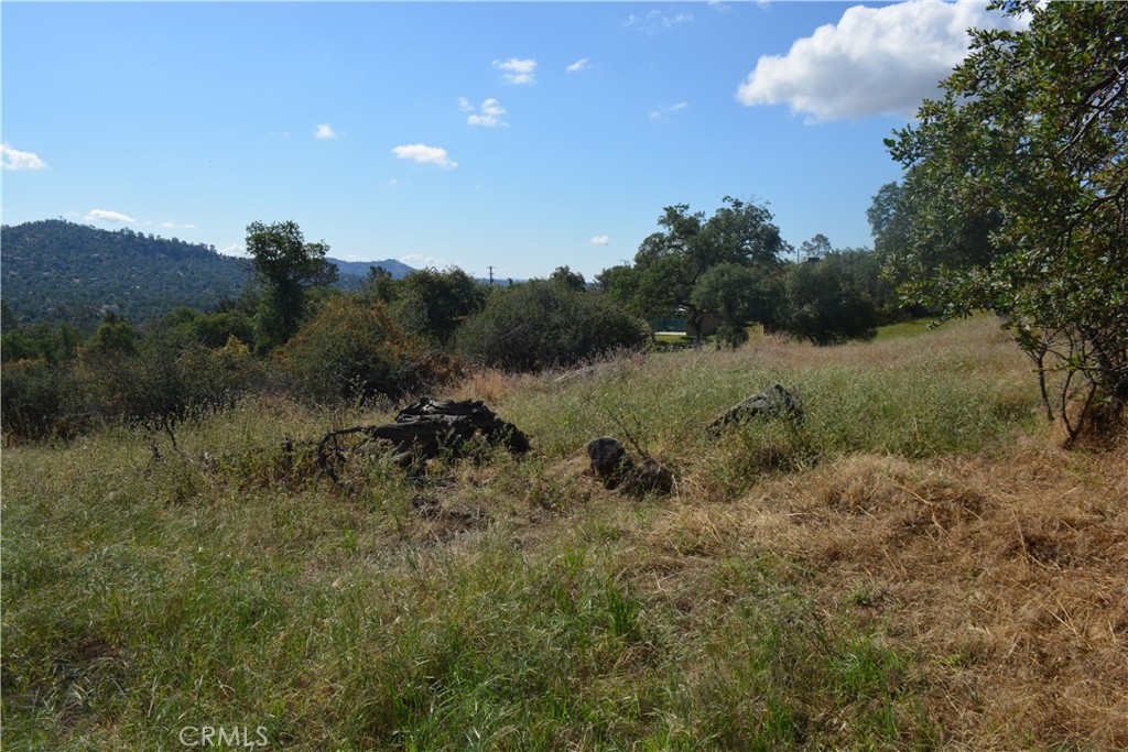 1 Corral Dr, Coarsegold, CA 93614